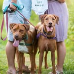Faye & Angus Shea - @faye.and.angus - Instagram