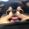 archer faye - @archer.faye1 - TikTok