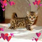 Faye Arnette - Facebook