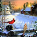 Faye Arnette - Facebook