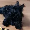 Faye MacArthur - @fayemacarthur - TikTok