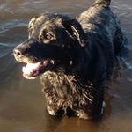 Faye Atkinson - @atkinson6458 - Instagram
