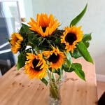 Faye Bailey - @fayebailey501 - Instagram
