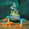 fayeballinger2 - @fayeballinger2 - TikTok