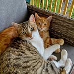 ꧁ 𝐵𝑎𝑟𝑟𝑦🐱𝐹𝑎𝑦𝑒 ꧂ - @barry._.faye - Instagram