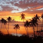 Faye Bartlett - @fijiforlovers_ - Instagram