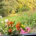 Faye Baumgartner - Facebook