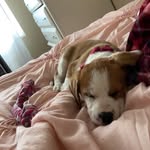 Baylor - @_baylor.faye_ - Instagram