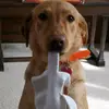 fayeblake1979 - @fayeblake1979 - TikTok