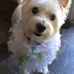 Faye Hare Blizzard - @nannyblizzard - Instagram