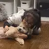 Faye&Blue - @fayeandblue - TikTok