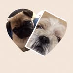 Faye Blunt - @fayeblunt5608 - Instagram