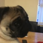 Fayeblunt - @fayeblunt1118 - Instagram