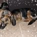 Faye Bolden - Facebook