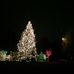 Fay Peeler Bostic - Facebook