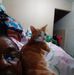 Faye Bostic - Facebook