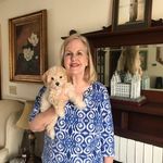 Faye Brock - @faye.brock.543 - Instagram