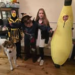 Faye O'Callaghan - Facebook