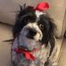 Faye Carter - Facebook