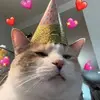 Chaoguay Faye - @chaoguay.faye - TikTok