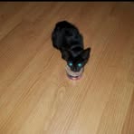 Faye Chase - Facebook