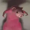 𝓕𝓪𝔂𝓮𝓼 𝓬𝓵𝓪𝔂 𝓫𝓮𝓪𝓭𝓼 - @fayes._.clay._.beads - TikTok