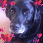 Faye Cobley - @fayecobley - Instagram