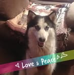 Faye Coley - Facebook