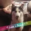 Faye Coley - @faye.coley7 - TikTok