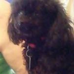Faye Combs - @faye.combs.716 - Instagram