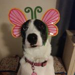 Faye Conner - @mpuppins1969 - Instagram