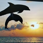 Faye Corbin - @bubbly1018 - Instagram
