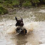 Faye - @faye.corcoran - Instagram