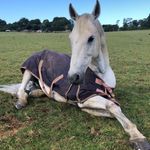 Faye - @fayecorcoran - Instagram