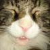 Faye Cotter - Facebook