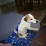 Faye Craft - @crafty171 - Instagram