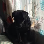 @faye__crowson - Instagram