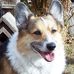 Faye Crow - Facebook