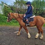 Faye Curry - @fayecurry43 - Instagram