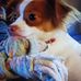 Faye Curry - Facebook