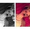 Faye curry - @fayecurryx - TikTok