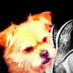 Faye Davidson - @faysermouse1234 - Instagram