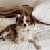 Faye Dodd Blewett - Facebook