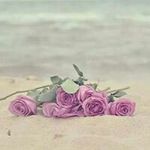 Ossama Fayed - @fayedossama - Instagram