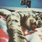 Faye Doyle - @fayeis_cool - Instagram