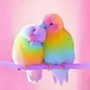 Faye Doyle - @faye.doyle0 - TikTok