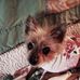 Faye Evans - Facebook