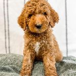 @penny_faye_farmer - Instagram