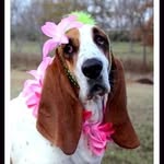 Faye Finney - @swampwitch60 - Instagram