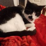 F. wade - @fayeflick77 - Instagram